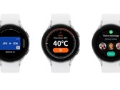 Samsung Wallet, Thermo Check e WhatsApp su Galaxy Watch (Fonte: Samsung)