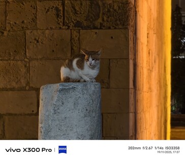 Vivo X300 Pro 200 mm senza teleconvertitore.