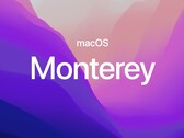Tutti i sistemi operativi supportati da Applehanno ricevuto nuove build. (Fonte immagine: Apple)