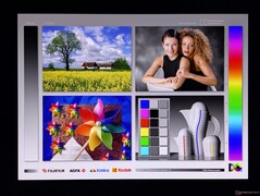 Ampi angoli di visione OLED