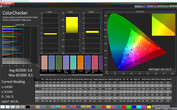 Precisione colore CalMan (profilo Caldo, spazio colore target: sRGB)
