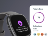 Dopo l'8 luglio, i clienti Fitbit dovranno utilizzare l'applicazione Fitbit. (Fonte: Fitbit)