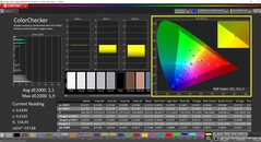 CalMAN ColorChecker (profilo: AdobeRGB, spazio colore di destinazione: AdobeRGB)