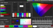 CalMAN Color Space sRGB – Modalità Display regolabile