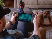 Che si tratti della tranquilla vita contadina in Stardew Valley o della frenetica caccia ai demoni in Doom, i giocatori sembrano avere idee molto diverse su quali siano i giochi migliori per rilassarsi.