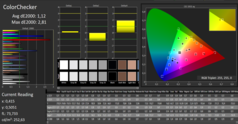 CalMAN: ColorChecker (calibrato)