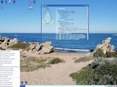 Il desktop di EasyOS 6 (fonte immagine: DebugPoint)