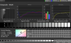 Scala di grigi CalMAN