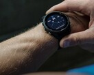 Gli smartwatch Garmin Forerunner 255 Music e 255s Music riceveranno l'aggiornamento beta 19.09. (Fonte: Garmin)