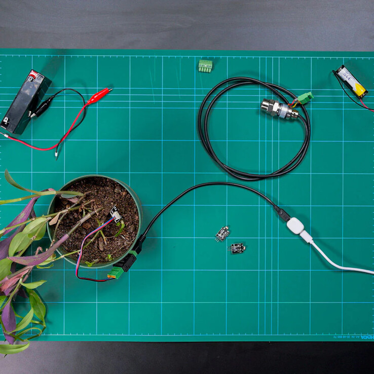 La pillola di Shelly. (Fonte: Shelly)