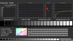 CalMAN: Scala di grigi (calibrata)