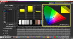 CalMAN ColorChecker (profilo: Predefinito, spazio colore di destinazione P3)