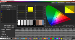 CalMAN ColorChecker calibrato