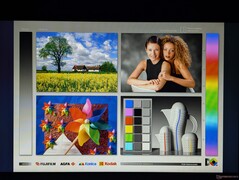 Ampi angoli di visione IPS