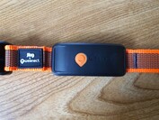 Weenect XT con collare Julius K9