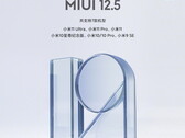 Xiaomi è a buon punto con il suo rollout MIUI 12.5 ora. (Fonte: Xiaomi)