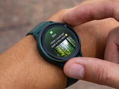 Lo smartwatch Garmin vivoactive 6 (nella foto) sembra ricevere un nuovo aggiornamento. (Fonte: Garmin)