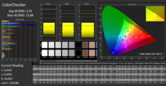 Calman ColorChecker (calibrato)