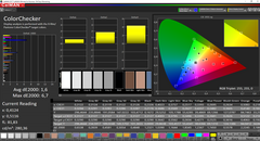 CalMAN: ColorChecker (calibrato)