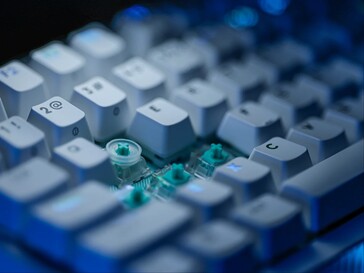 Anello SAPP montato sullo switch.