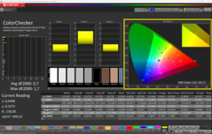 CalMAN ColorChecker calibrato