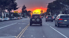 La modalità arma biologica del Modello Y utilizzata nell'evasione dell'incendio di Palisades (Fonte: Josef/X)