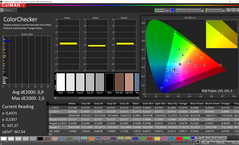 CalMAN ColorChecker calibrata (gamma di colore target P3)