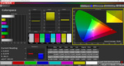 CalMAN standard gamma di colore