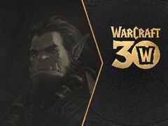 Il 13 novembre, Blizzard celebrerà il 30° anniversario dell'universo di Wartcraft con un flusso speciale per l'anniversario. (Fonte: Blizzard)