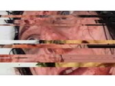 Una schermata del gioco horror VILE: Exhumed, che ritrae un video VHS di una donna, messo in pausa e con un glitch. (Fonte immagine: DreadXP/Final Girl Games)