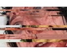 Una schermata del gioco horror VILE: Exhumed, che ritrae un video VHS di una donna, messo in pausa e con un glitch. (Fonte immagine: DreadXP/Final Girl Games)