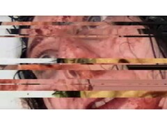 Una schermata del gioco horror VILE: Exhumed, che ritrae un video VHS di una donna, messo in pausa e con un glitch. (Fonte immagine: DreadXP/Final Girl Games)