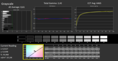 CalMAN - Scale di grigi (calibrate)