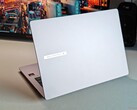 Asus ExpertBook PM3 (fonte: Notebookcheck)