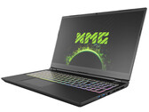 Schenker XMG Pro 15 (Clevo PC50HS-D) recensione: Computer portatile da gioco 4K sottile e leggero