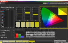Saturazione CalMAN (profilo: sRGB)