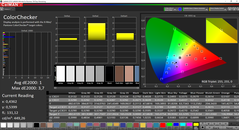 CalMAN ColorChecker calibrato (spazio colore target P3)