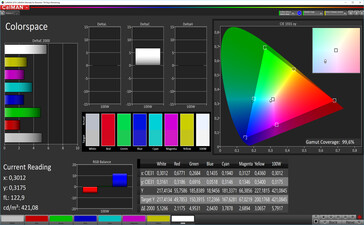 CalMAN: Spazio colore - contrasto automatico, colori standard, spazio colore target DCI P3