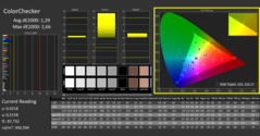 CalMAN - Color Checker (calibrato)