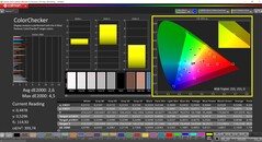 CalMAN ColorChecker (profilo: Nativo, spazio colore di destinazione P3)