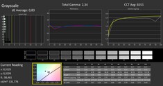 CalMAN: scale di grigi (calibrato)