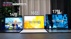 LG ha annunciato tre nuovi portatili Gram per il 2021. (Fonte immagine: LG)