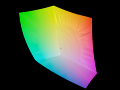 Lo spazio colore sRGB è coperto al 100%