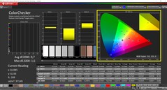 CalMAN ColorChecker calibrato (profilo: P3, spazio colore di destinazione: P3)