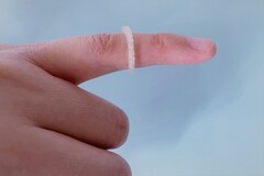 anello repellente per insetti stampato in 3D sviluppato dall'Università Martin Luther di Halle-Wittenberg (Fonte: Uni Halle / Fanfan Du)