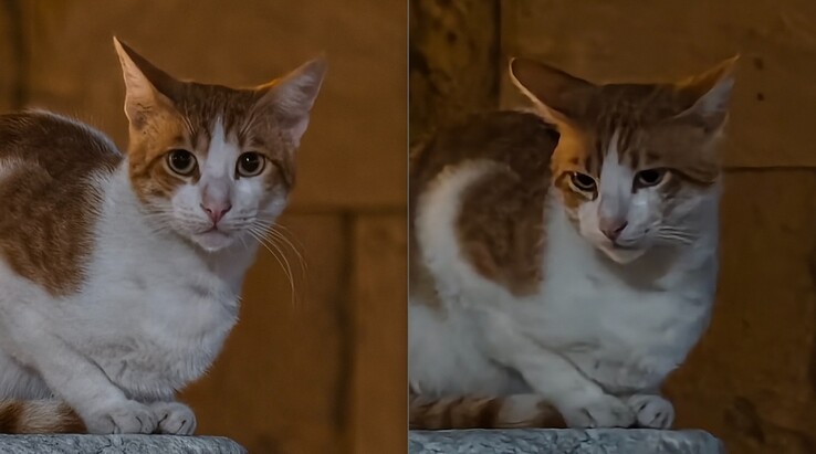 A sinistra: con teleconvertitore a 200 mm. A destra: Senza teleconvertitore.