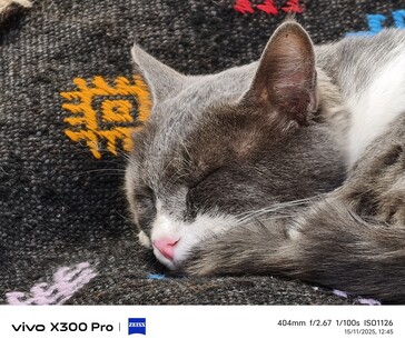 Vivo X300 Pro 400 mm senza tele-convertitore.