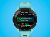 La serie Forerunner 265 è disponibile in due misure. (Fonte: Garmin)