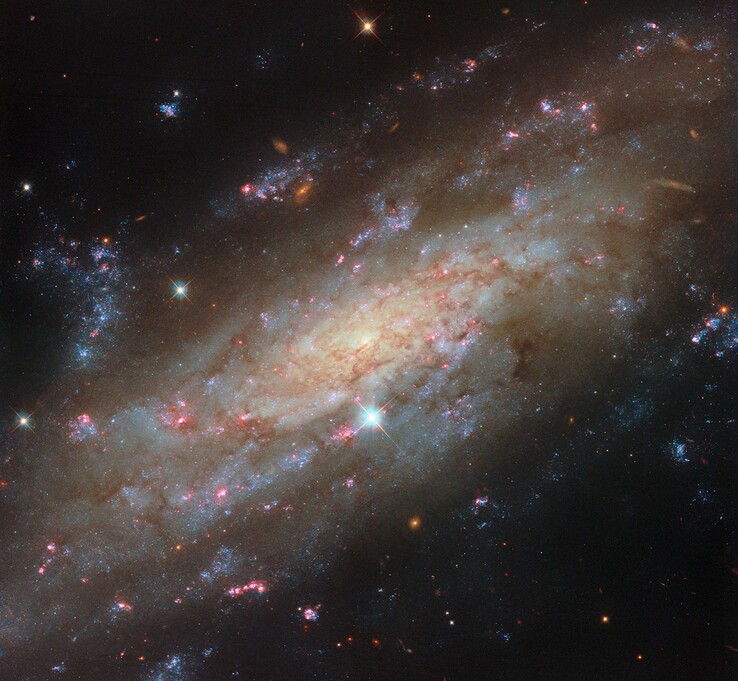 L'immagine ripresa dal Telescopio Spaziale Hubble che mostra NGC 3137.