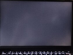 Moderato sanguinamento della retroilluminazione (qui mostrato migliorato)